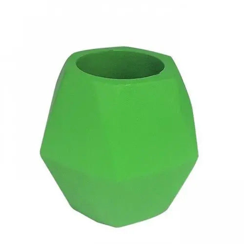 Insectimo Branch Jar - Kellyville Pets