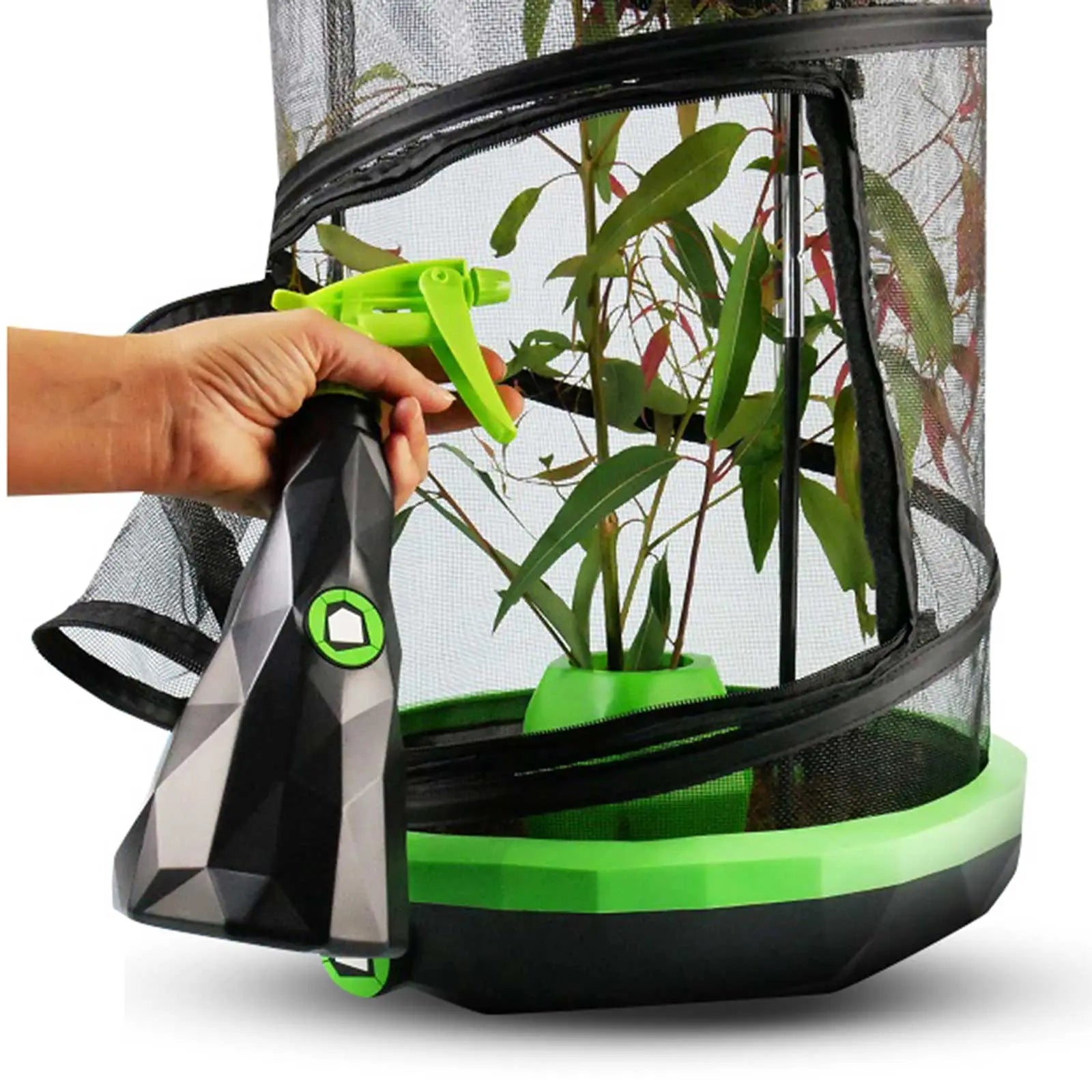 Insectimo Mister - Kellyville Pets