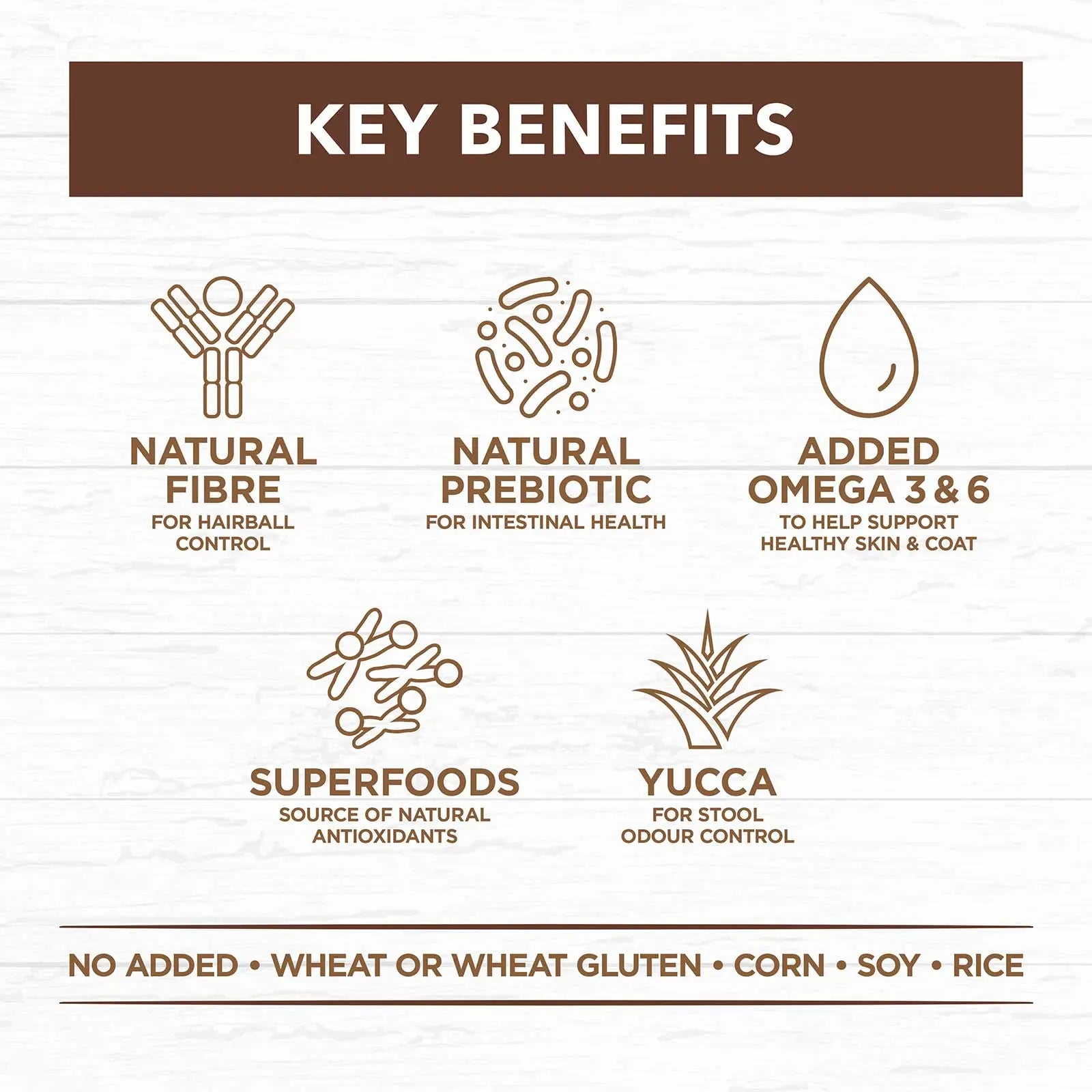 Ivory Coat Grain Free Cat Food Adult Indoor Chicken & Kangaroo - Kellyville Pets