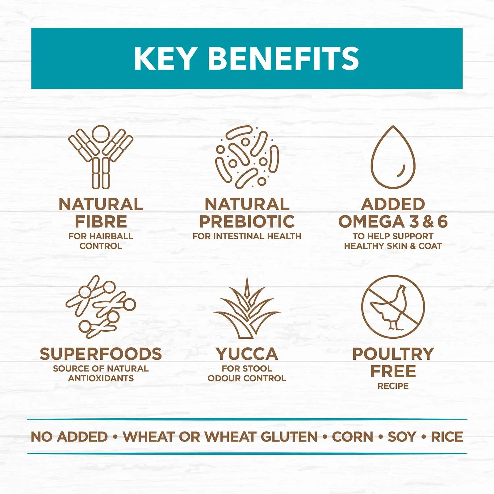 Ivory Coat Grain Free Cat Food Adult Ocean Fish & Salmon - Kellyville Pets