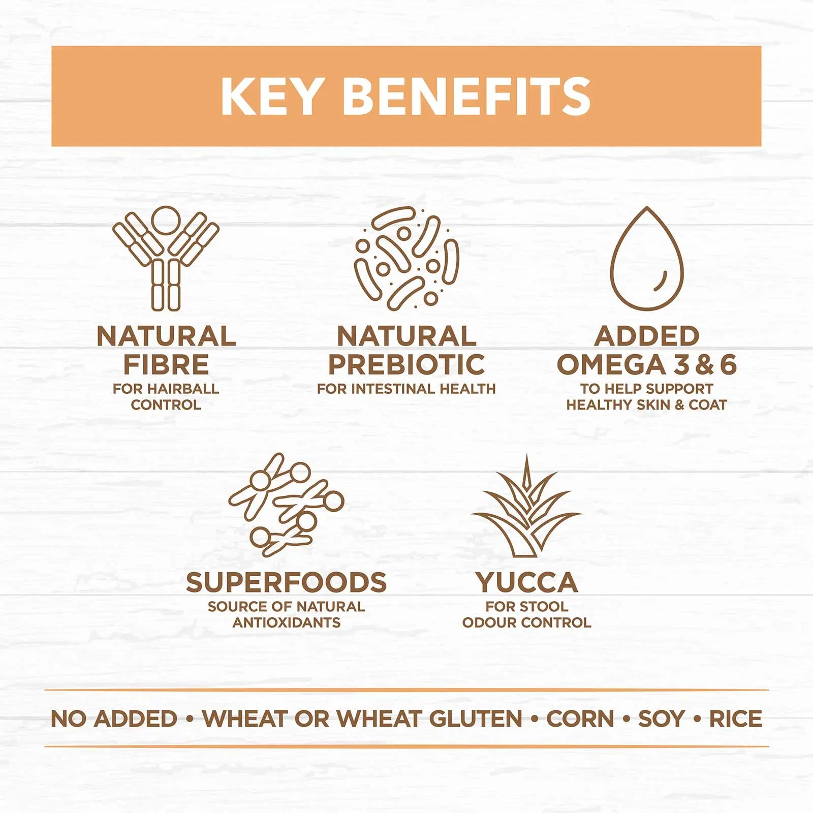 Ivory Coat Grain Free Cat Food Kitten Chicken - Kellyville Pets