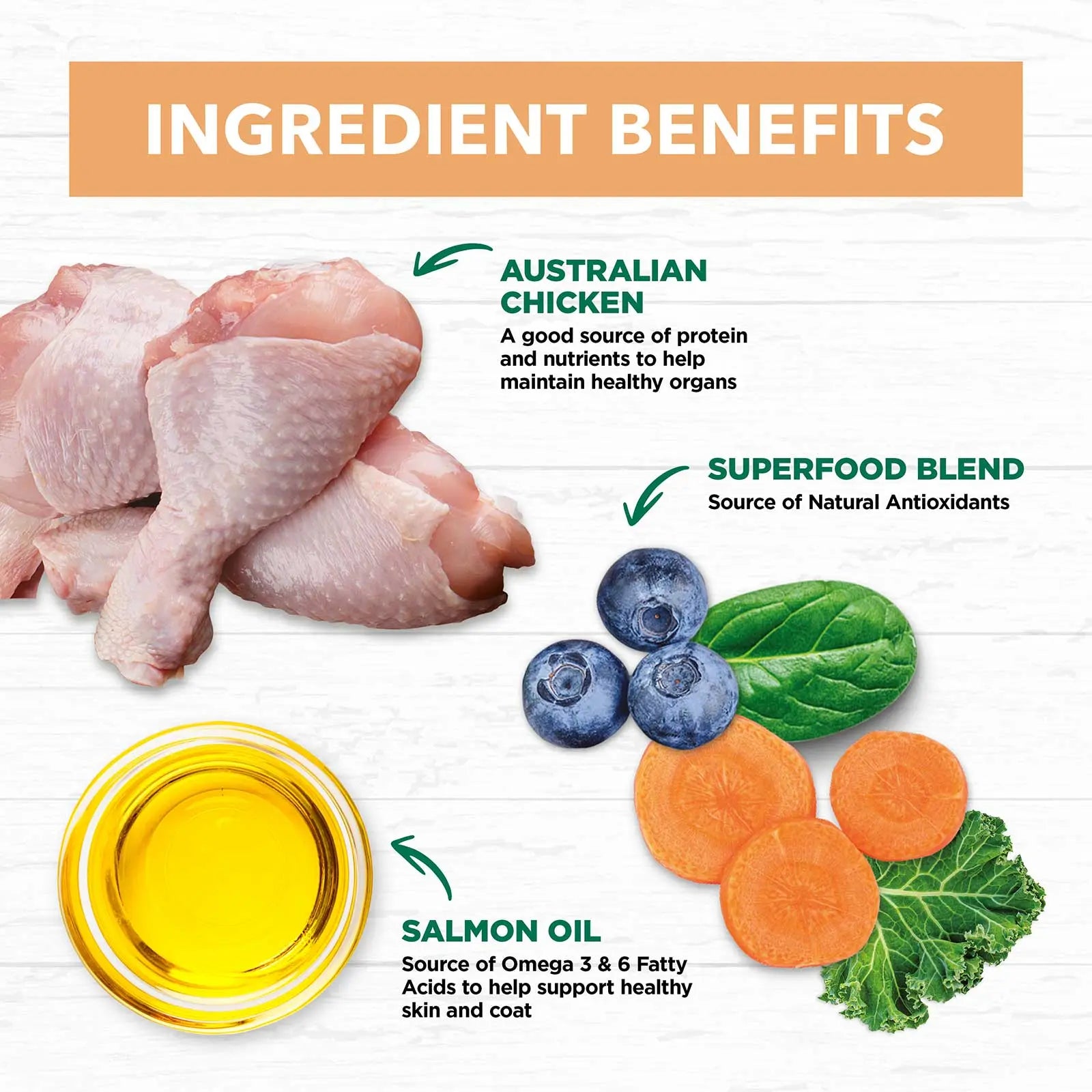 Ivory Coat Grain Free Cat Food Kitten Chicken - Kellyville Pets