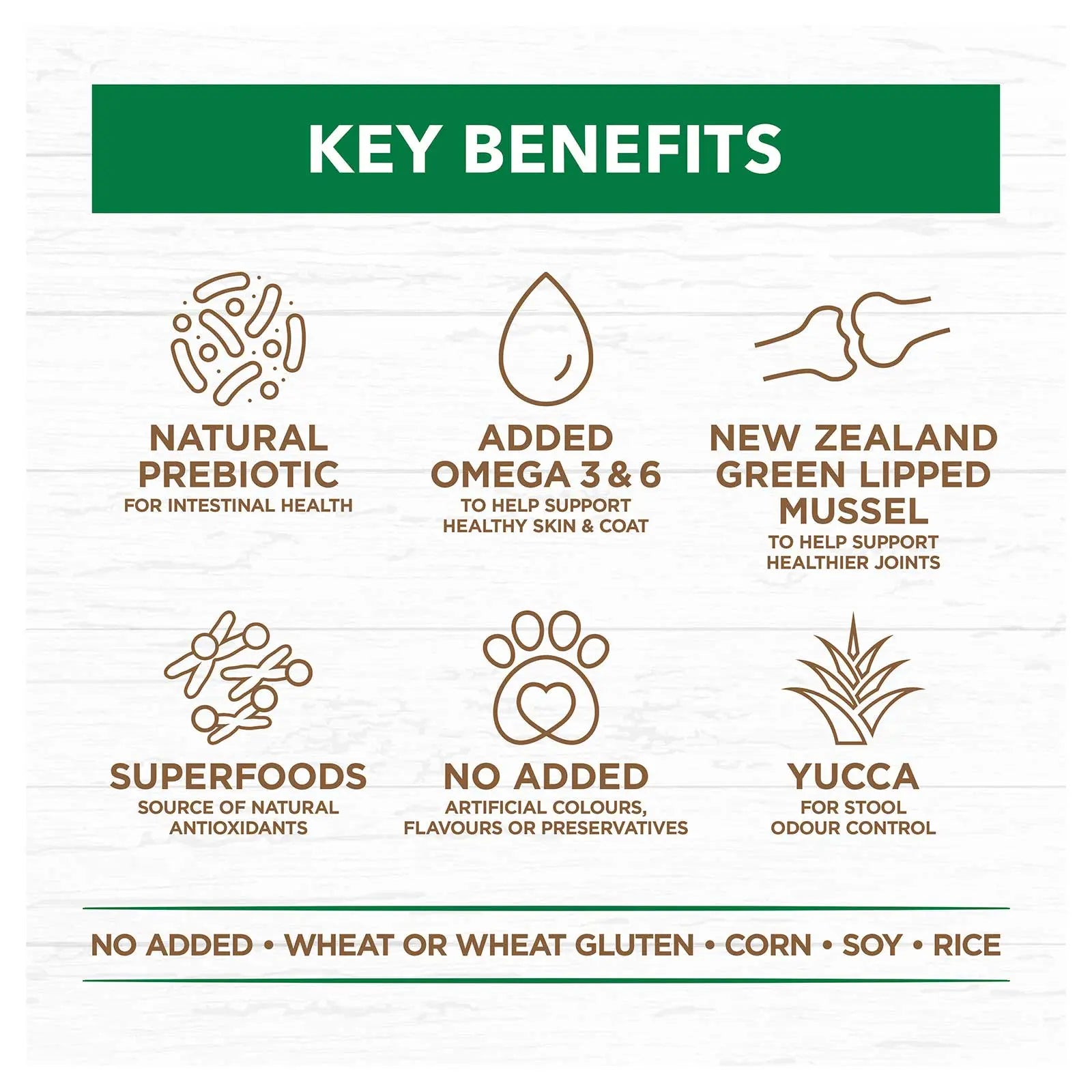 Ivory Coat Grain Free Dog Food Adult Large Breed Lamb - Kellyville Pets