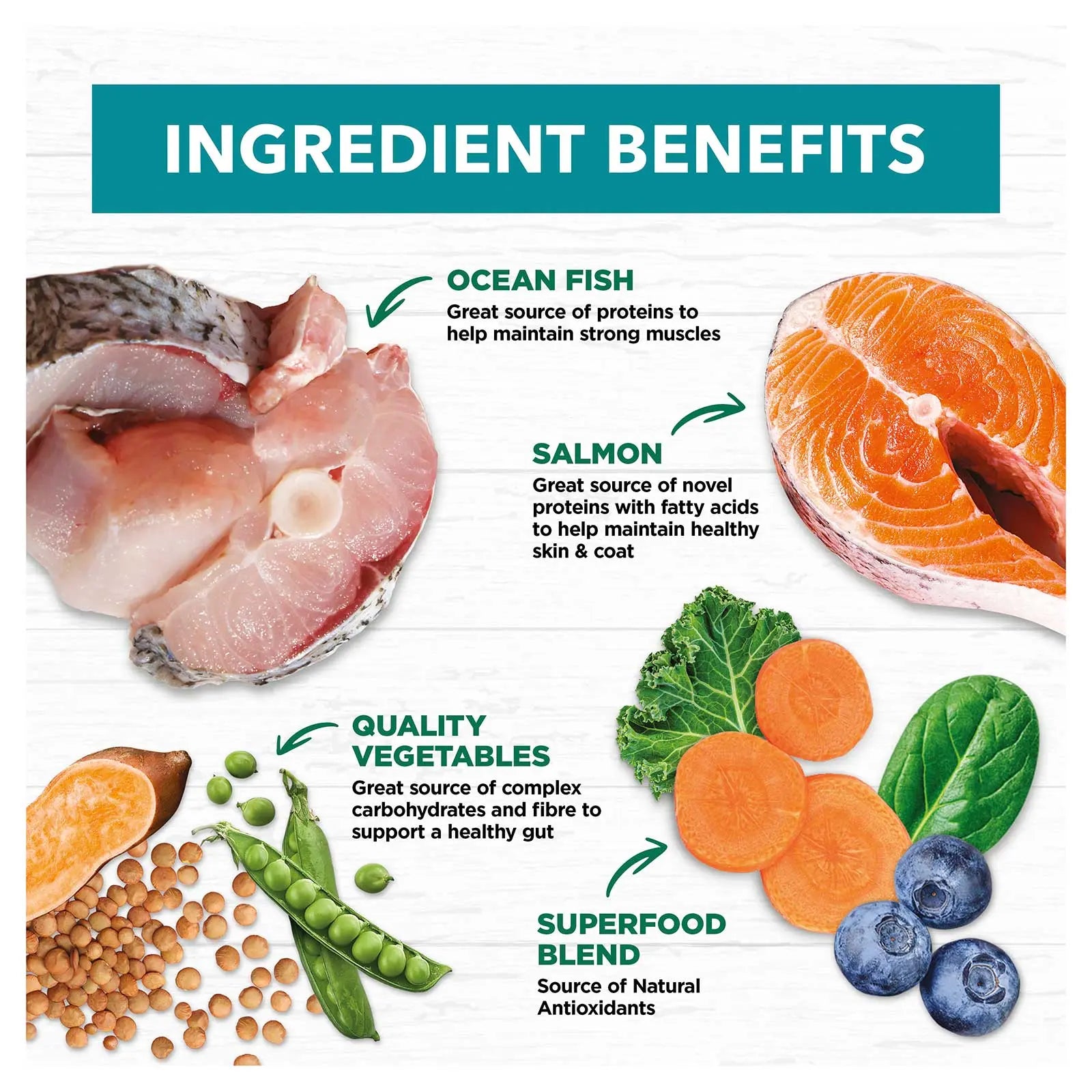 Ivory Coat Grain Free Dog Food Adult Salmon & Ocean Fish - Kellyville Pets