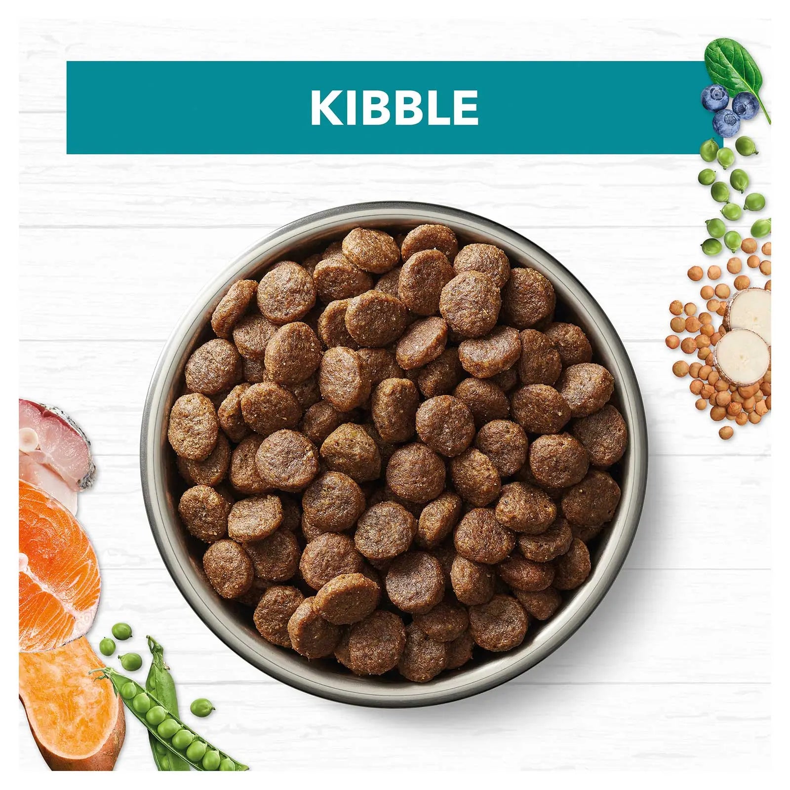 Ivory Coat Grain Free Dog Food Adult Salmon & Ocean Fish - Kellyville Pets