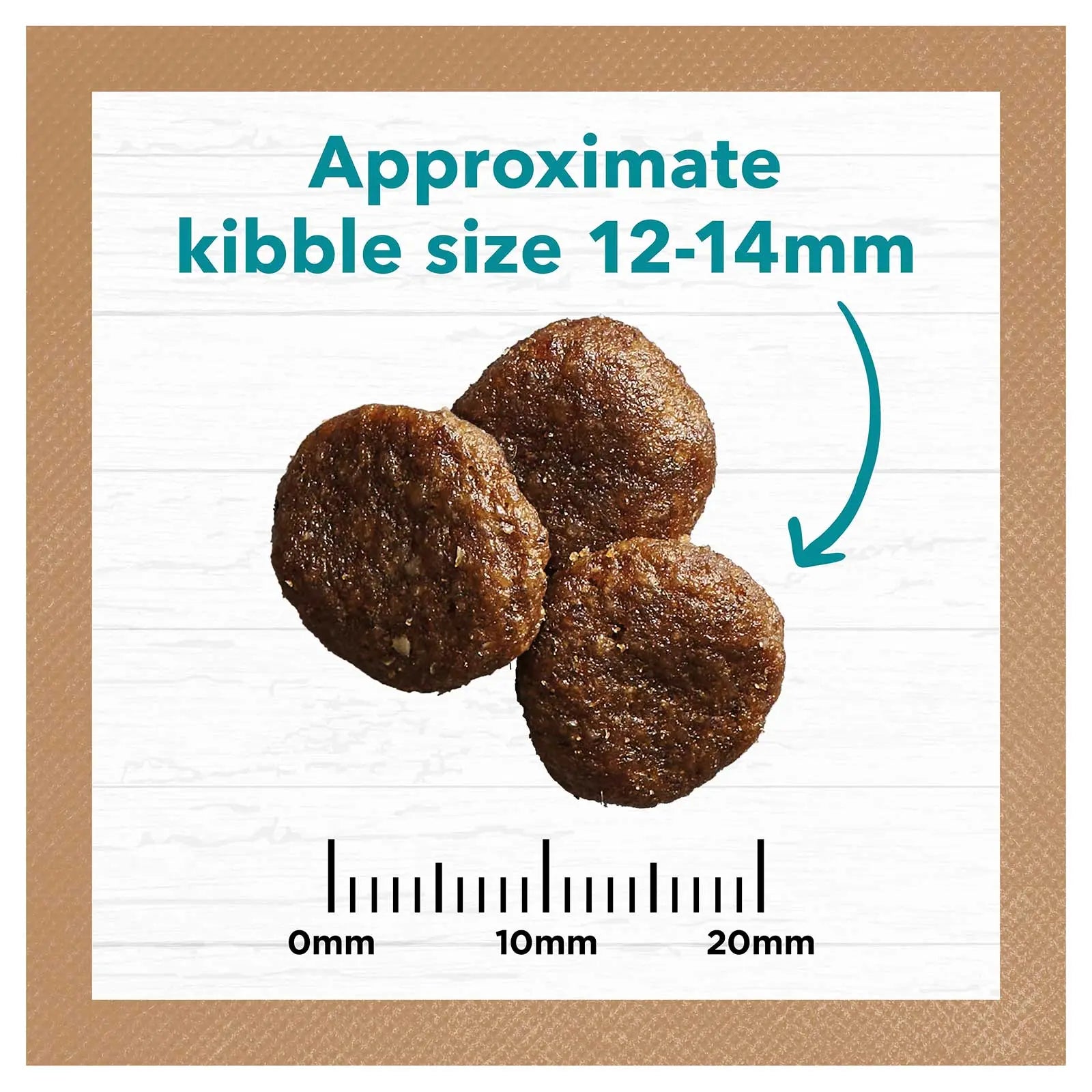 Ivory Coat Grain Free Dog Food Adult Salmon & Ocean Fish - Kellyville Pets