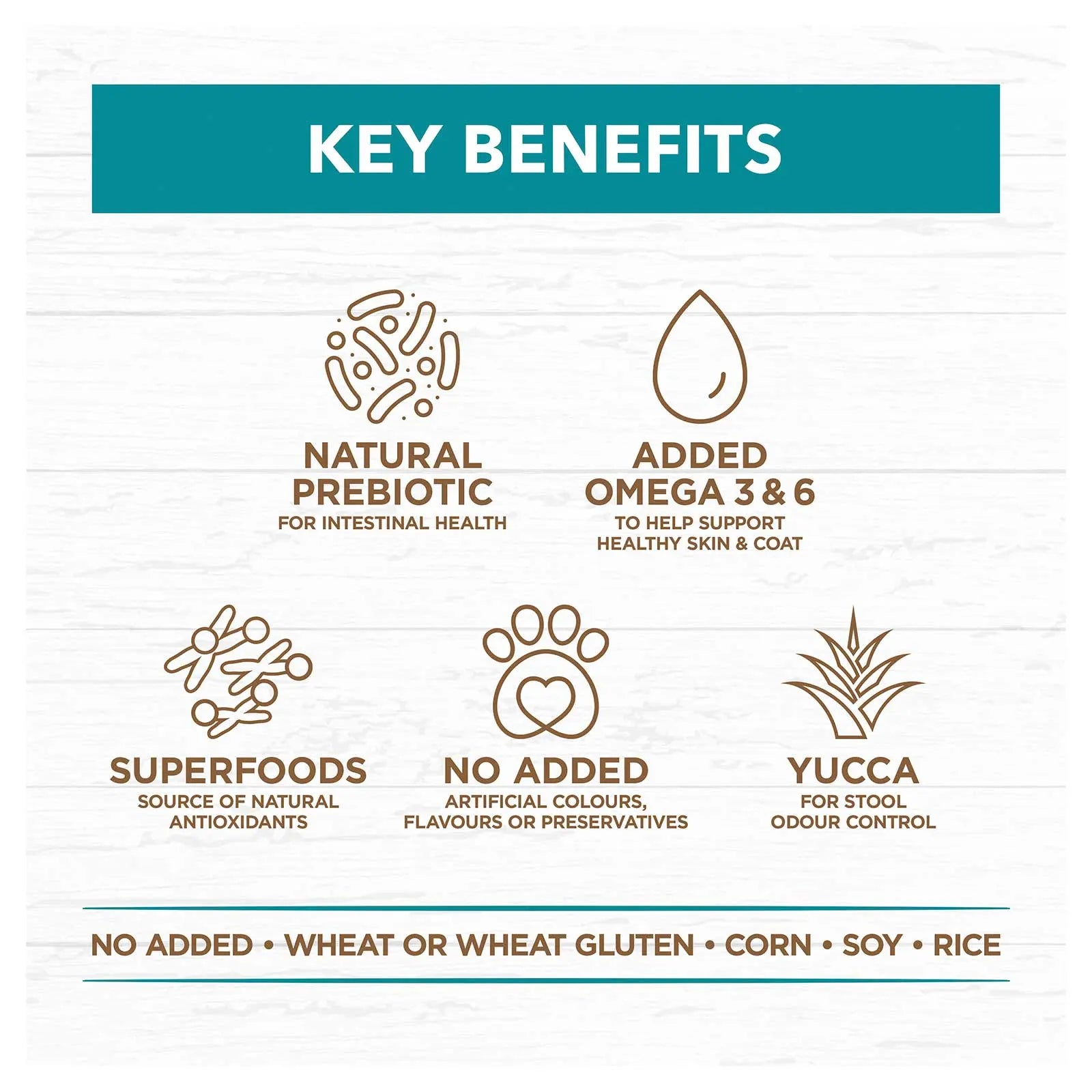 Ivory Coat Grain Free Dog Food Adult Salmon & Ocean Fish - Kellyville Pets