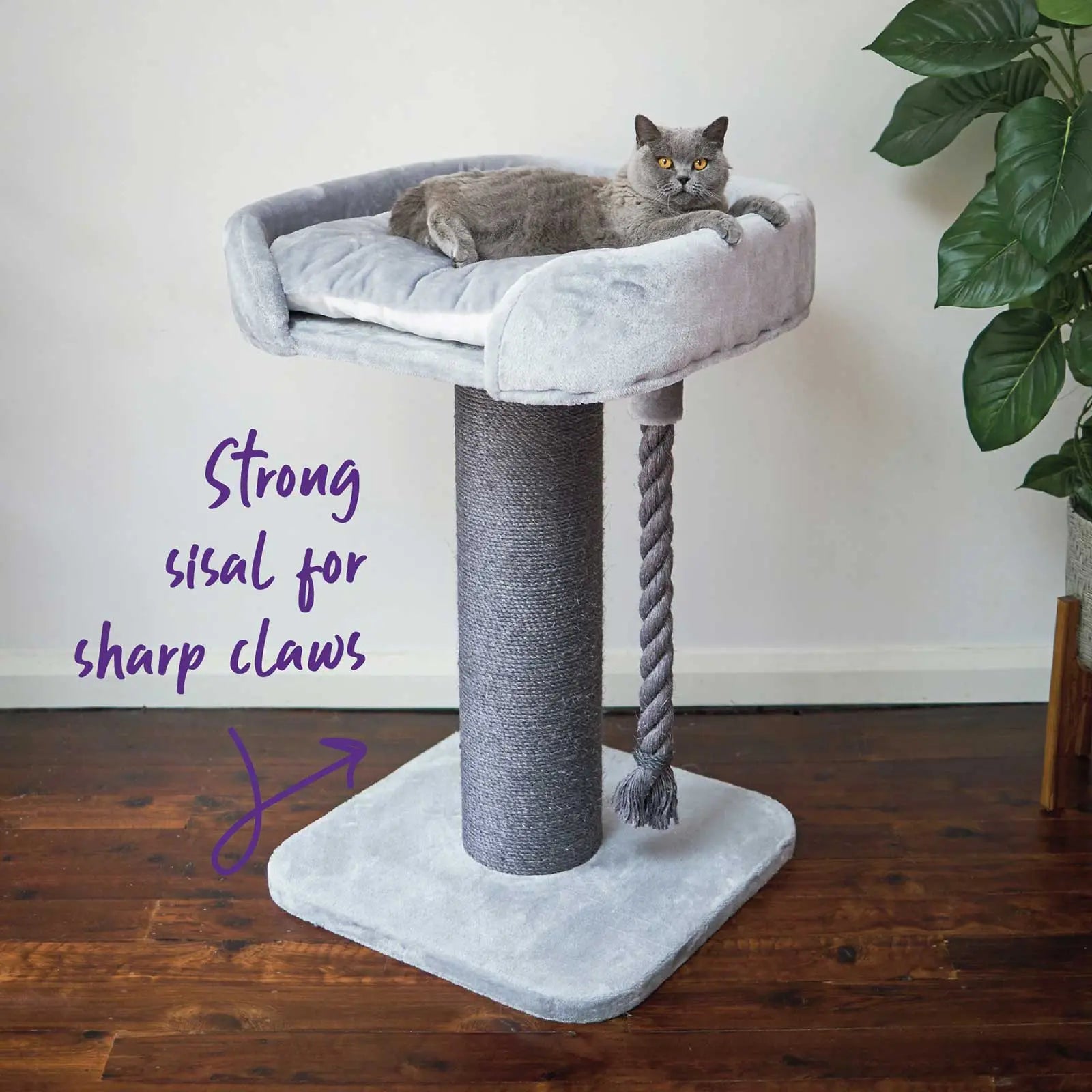 Kazoo Cat Scratcher - High Bed Post w/ Rope Ash Grey - Kellyville Pets
