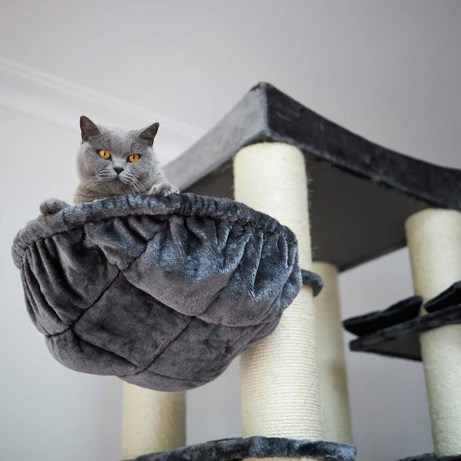 Kazoo Cat Scratcher - Kitty Tower Playground - Kellyville Pets