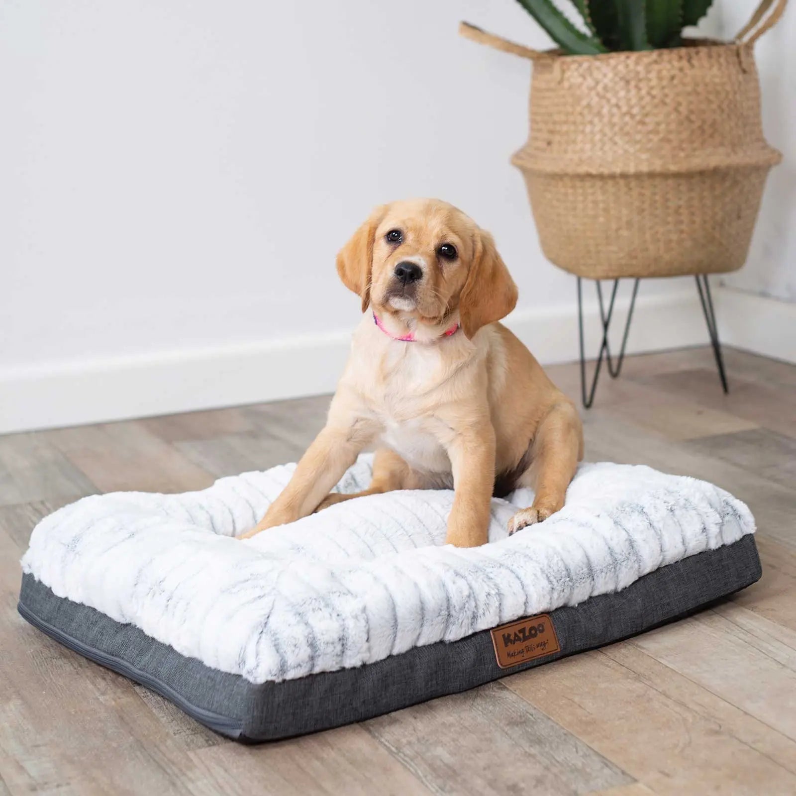Kazoo Cloud Comfort Light Grey Dog Bed - Kellyville Pets