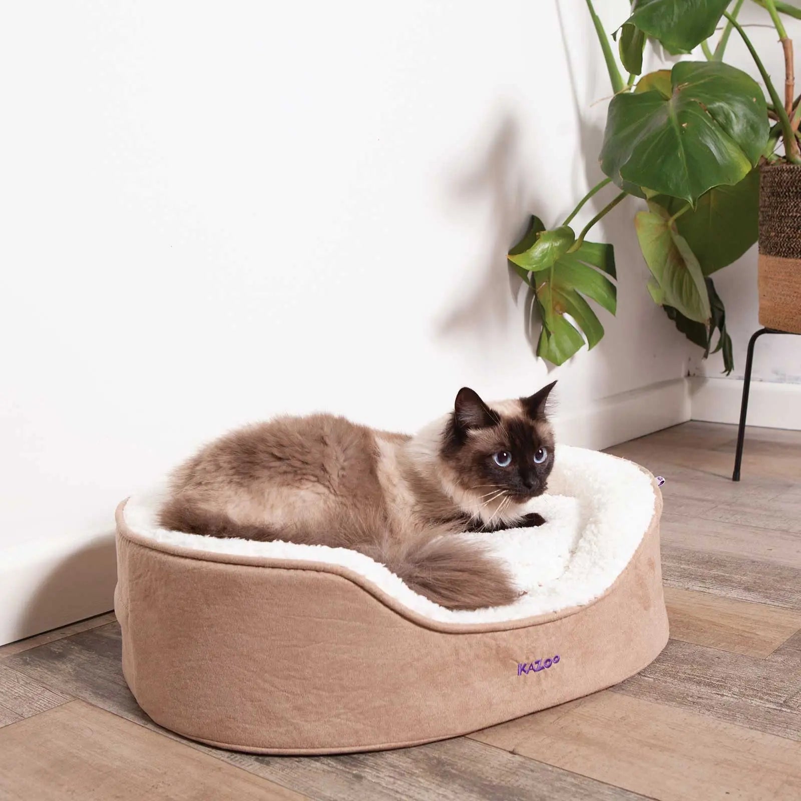 Kazoo Manhattan Coffee Dog Bed - Kellyville Pets