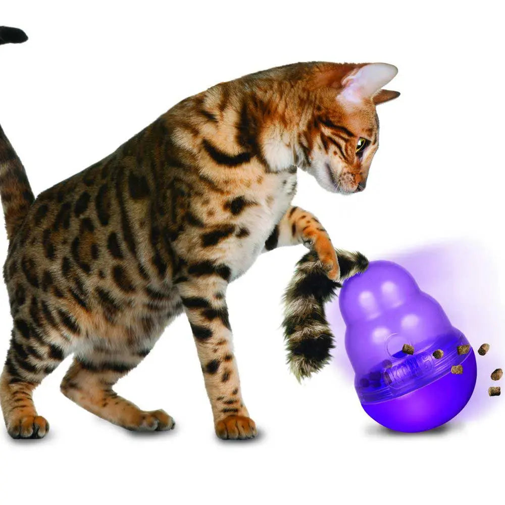 Kong Wobbler Cat Toy - Kellyville Pets