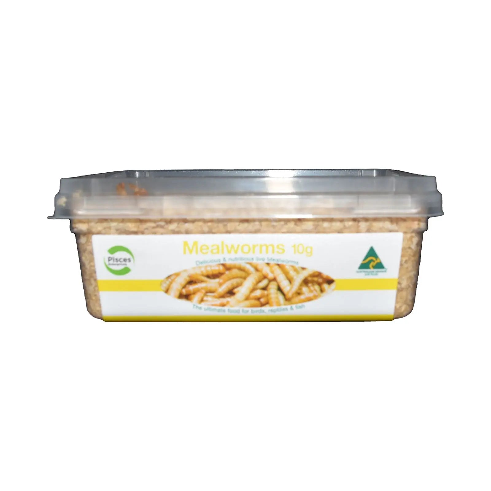 Live Mealworms - Pisces Enterprises - Kellyville Pets