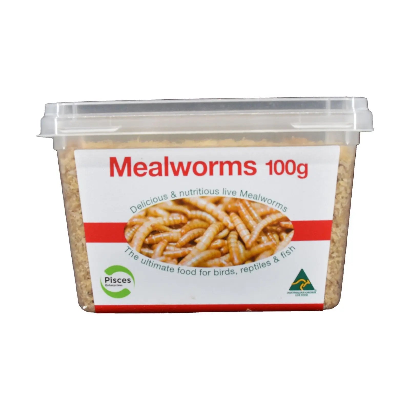 Live Mealworms - Pisces Enterprises - Kellyville Pets