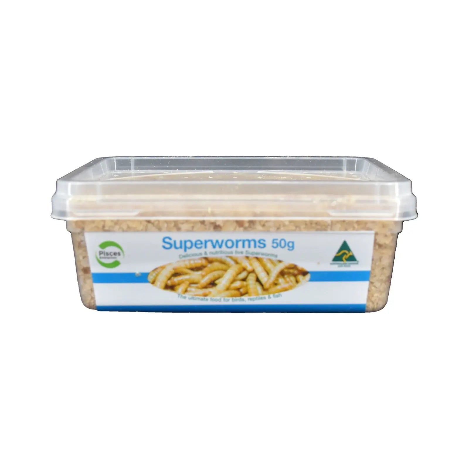 Live Superworms - Kellyville Pets