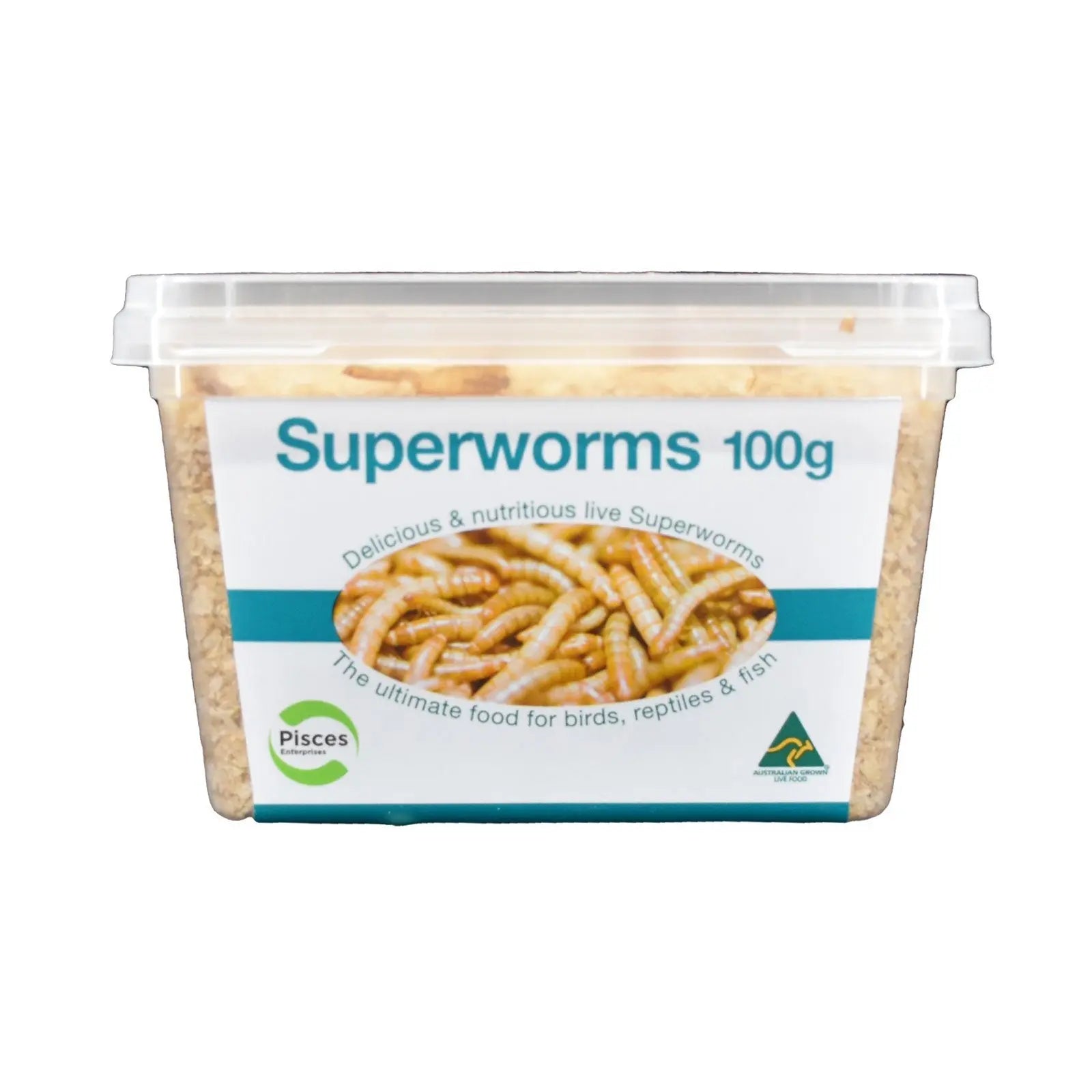 Live Superworms - Kellyville Pets