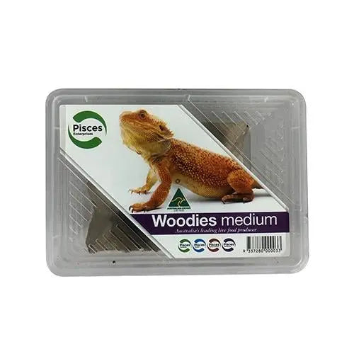 Live Woodies - Pisces Enterprises - Kellyville Pets