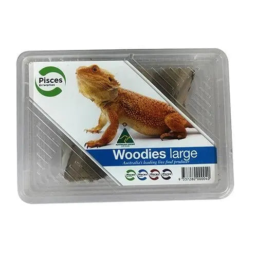 Live Woodies - Pisces Enterprises - Kellyville Pets