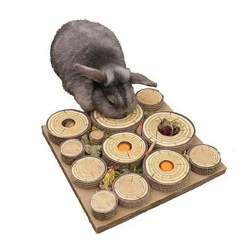 Maze - A - Log Treat Challenge - Kellyville Pets