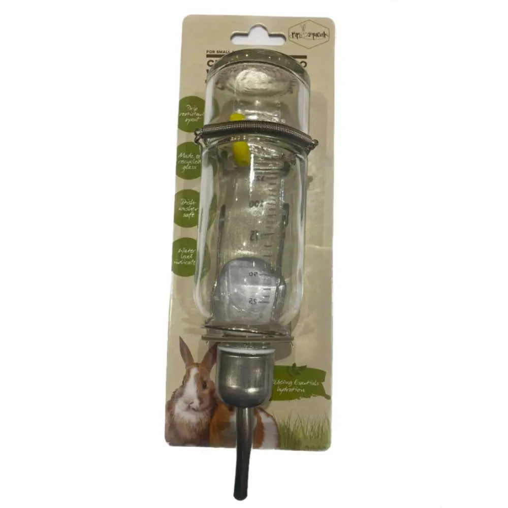 Pip Squeak Glass Small Animal Drinking Bottle - Kellyville Pets