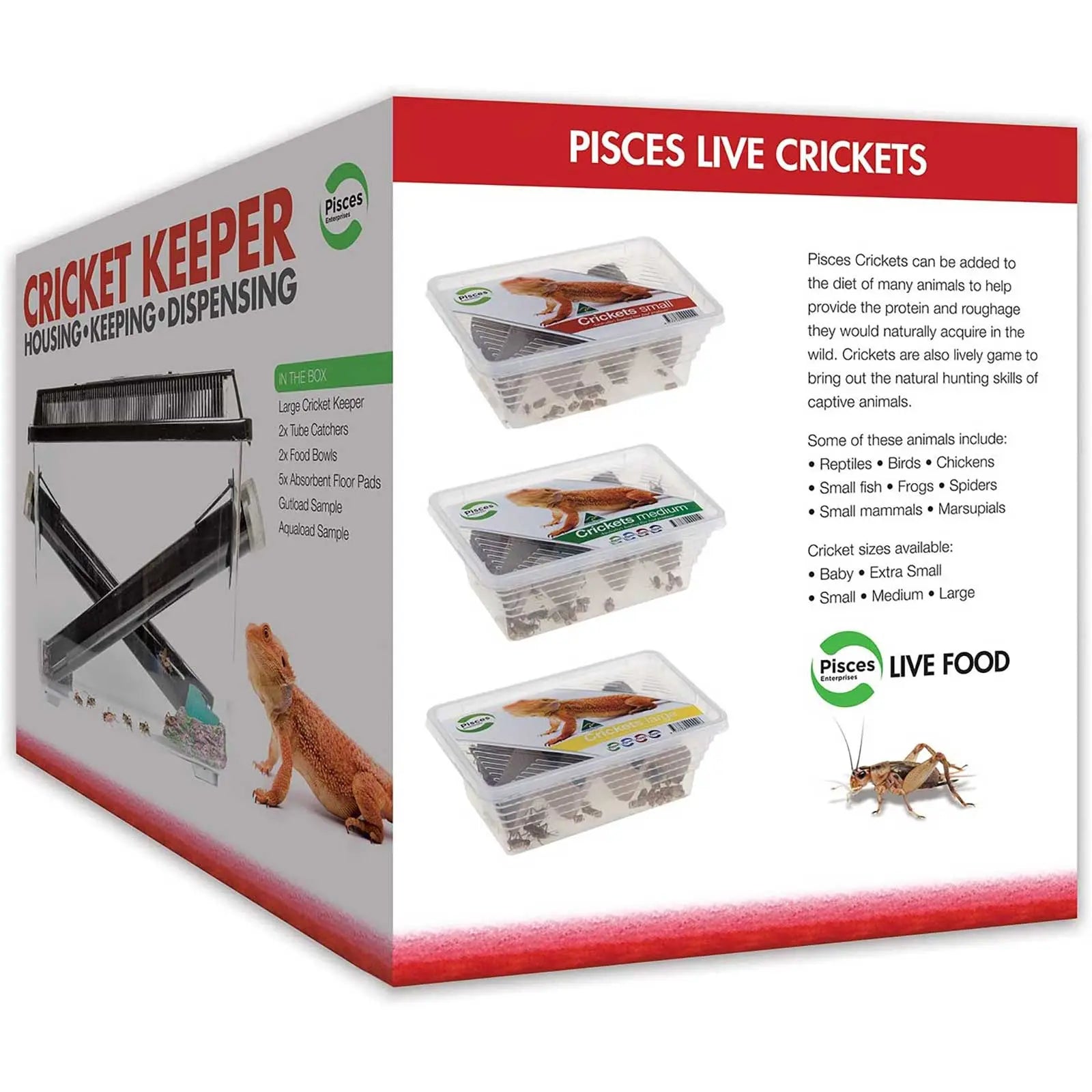 Pisces Cricket Keeper Kit - Kellyville Pets