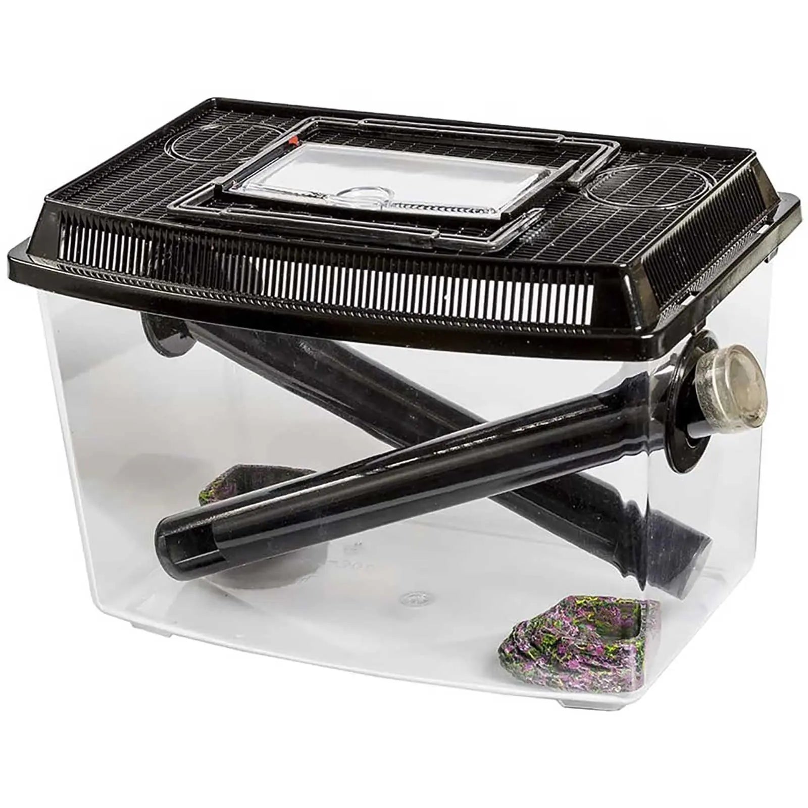 Pisces Cricket Keeper Kit - Kellyville Pets