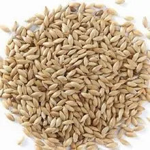 Plain Canary Seed - Kellyville Pets