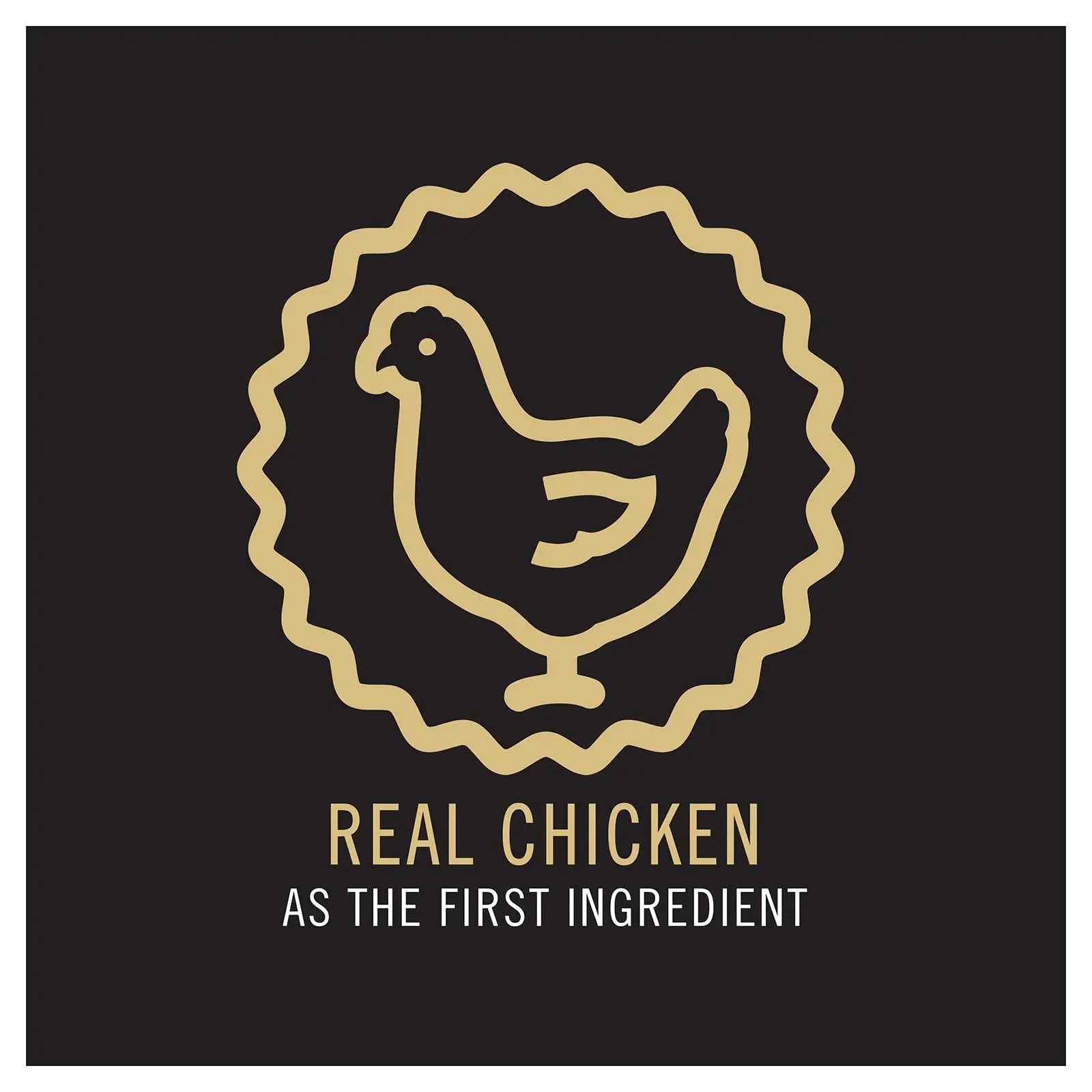 Pro Plan Cat Food Adult Indoor & Hairball Control - Kellyville Pets