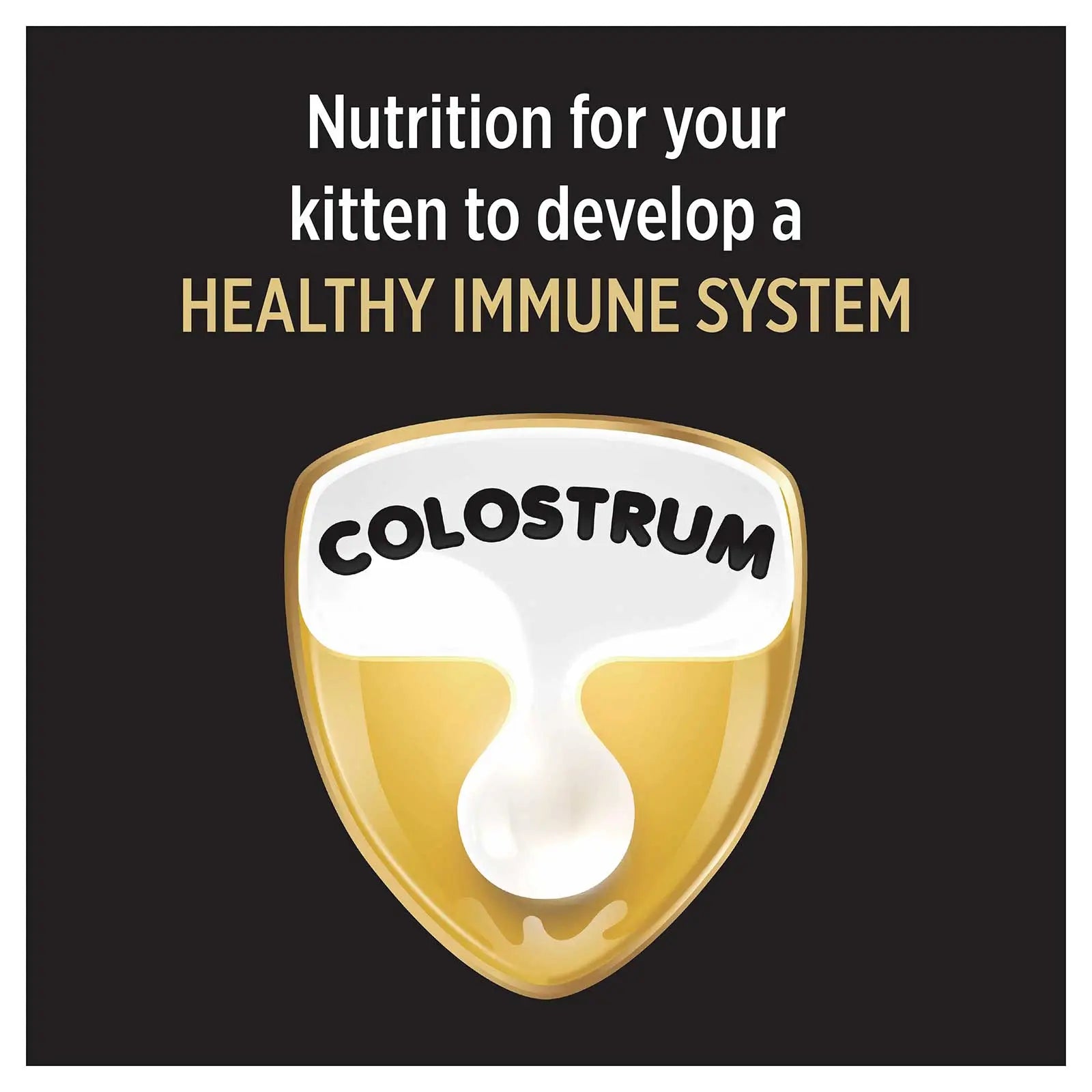 Pro Plan Cat Food Kitten Chicken - Kellyville Pets