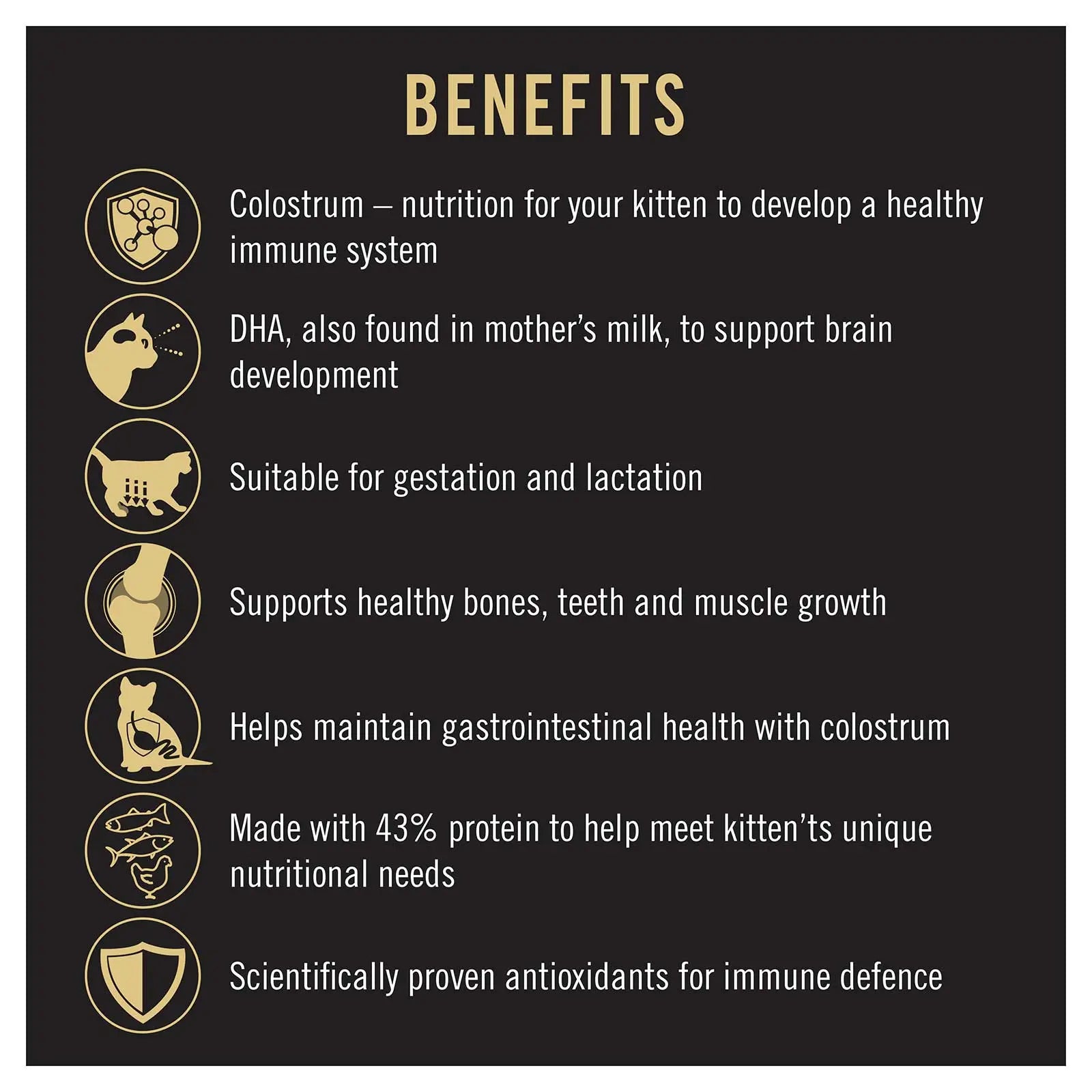 Pro Plan Cat Food Kitten Starter Salmon & Tuna - Kellyville Pets