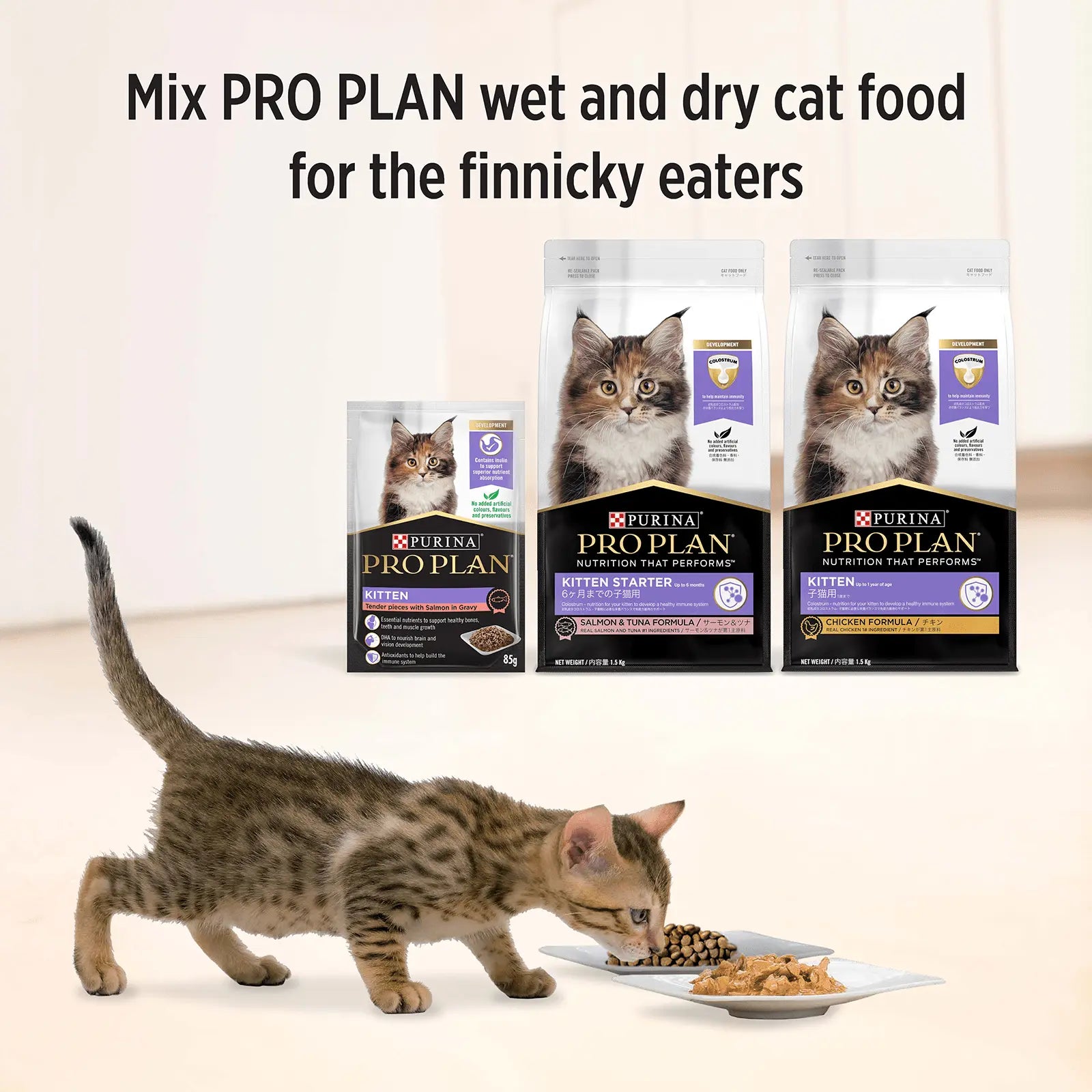 Pro Plan Cat Food Pouch Kitten Salmon & Gravy - Kellyville Pets