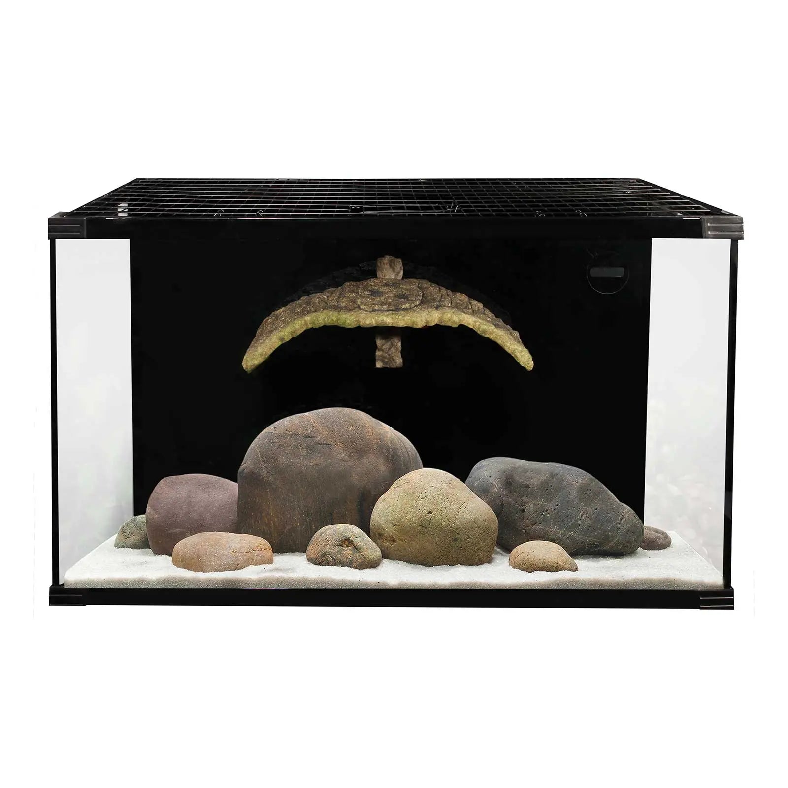 Reptile One Eco60 Turtle Tank - Kellyville Pets