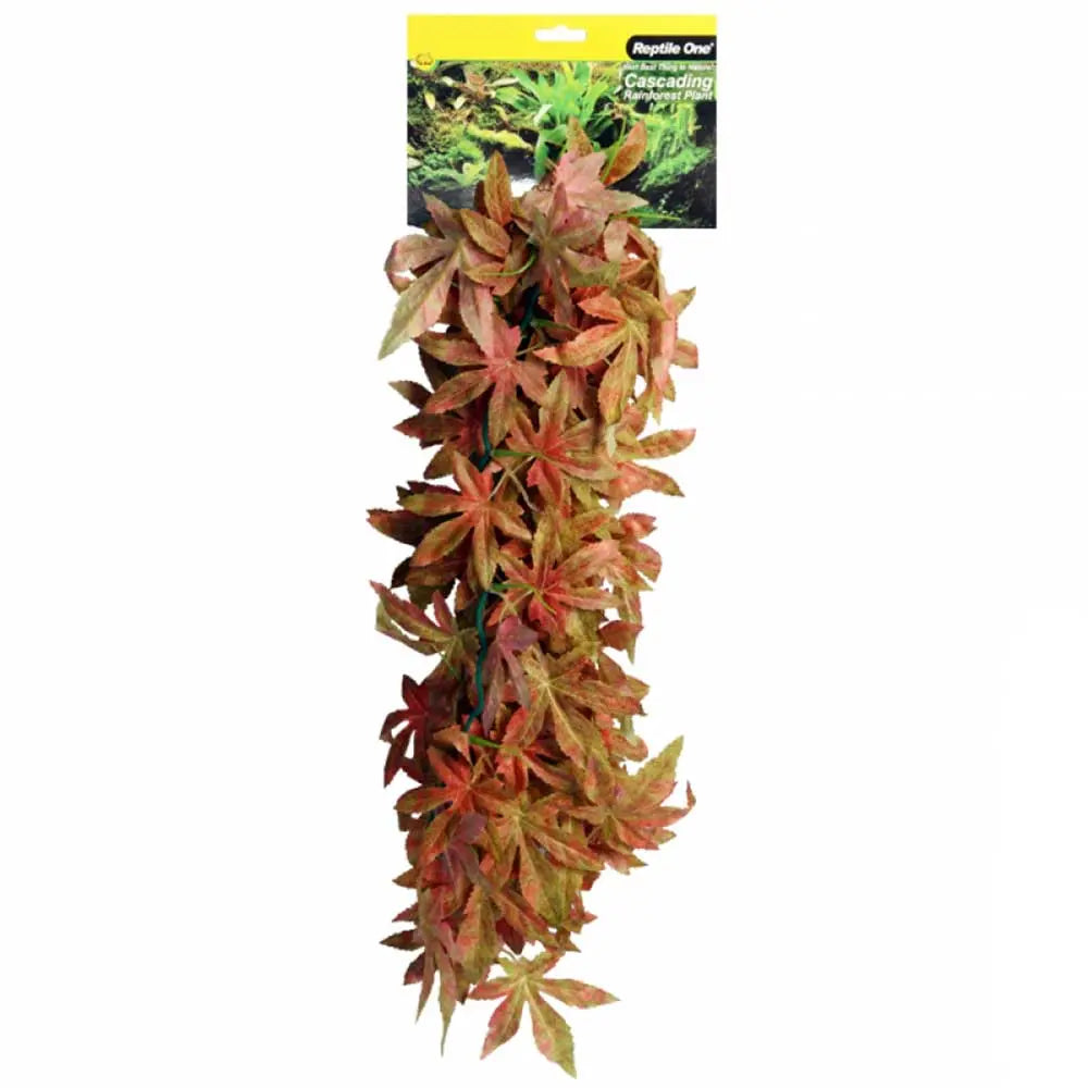 Reptile One Plant Hanging Red Sativa - Kellyville Pets
