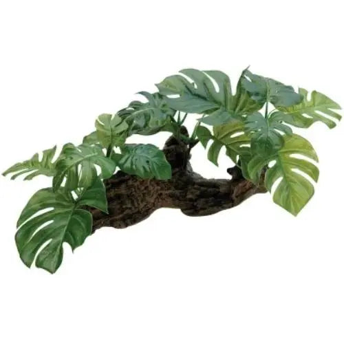 Reptile One Plant On Driftwood - Kellyville Pets