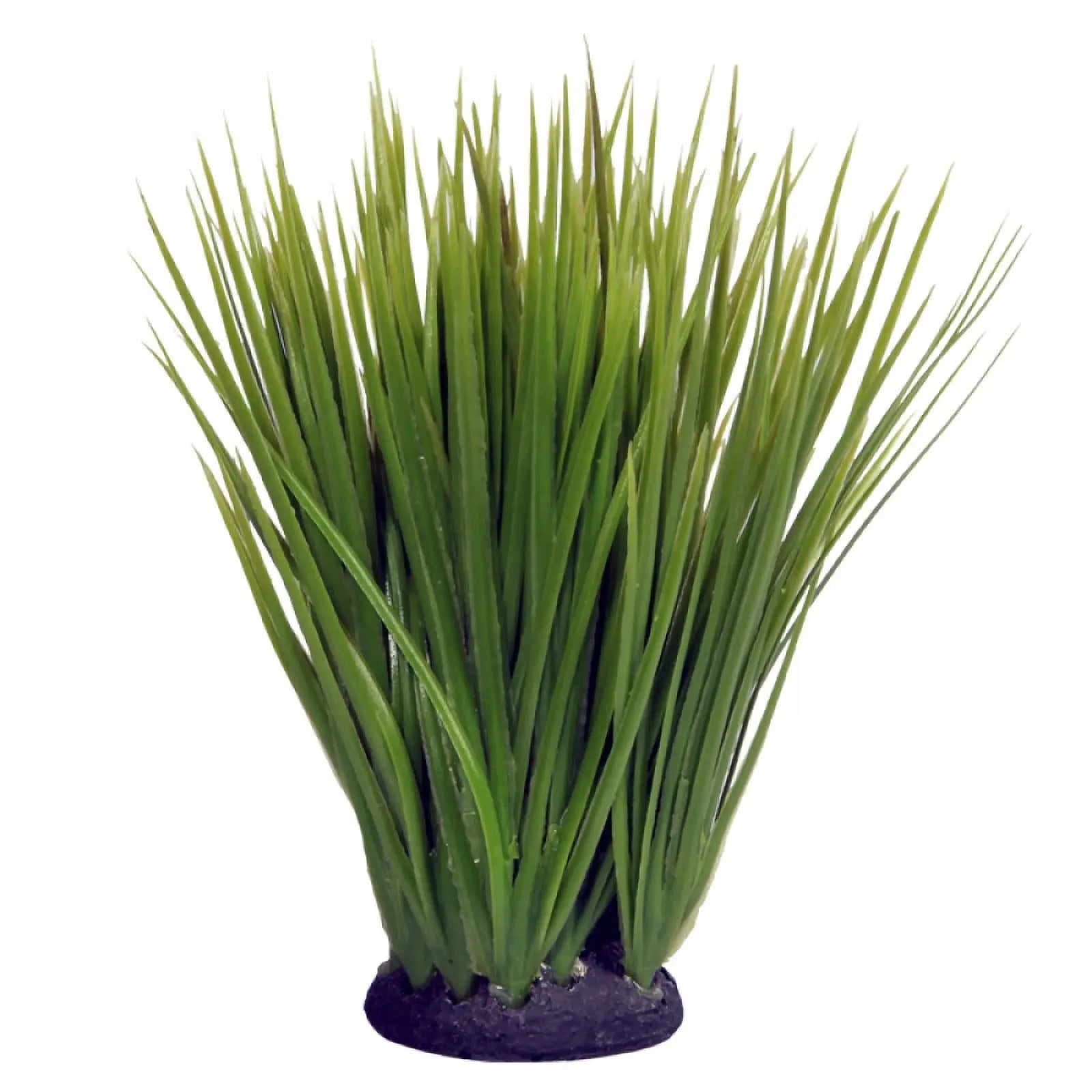 Reptile One Plant Spinifex Green on Base - Kellyville Pets