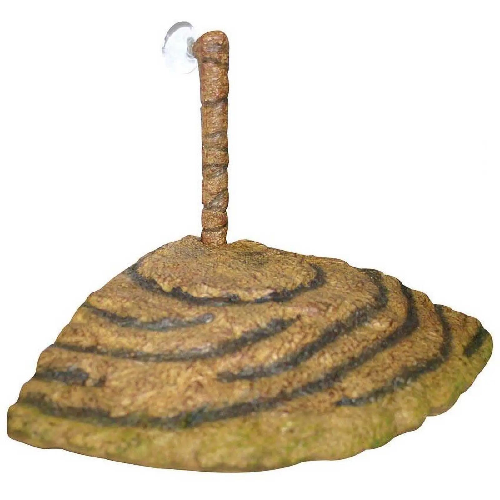 Reptile One Turtle Dock Corner - Kellyville Pets