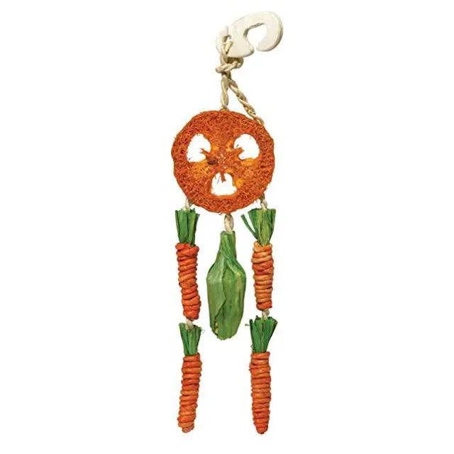 Rosewood Carrot Dream Catcher Toy - Kellyville Pets