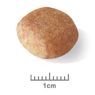 Royal Canin Dog Food Adult Mini Schnauzer - Kellyville Pets