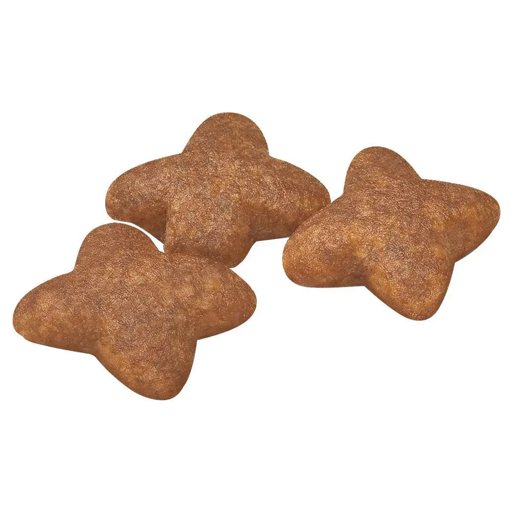 Royal Canin Dog Food Adult Mini - Kellyville Pets