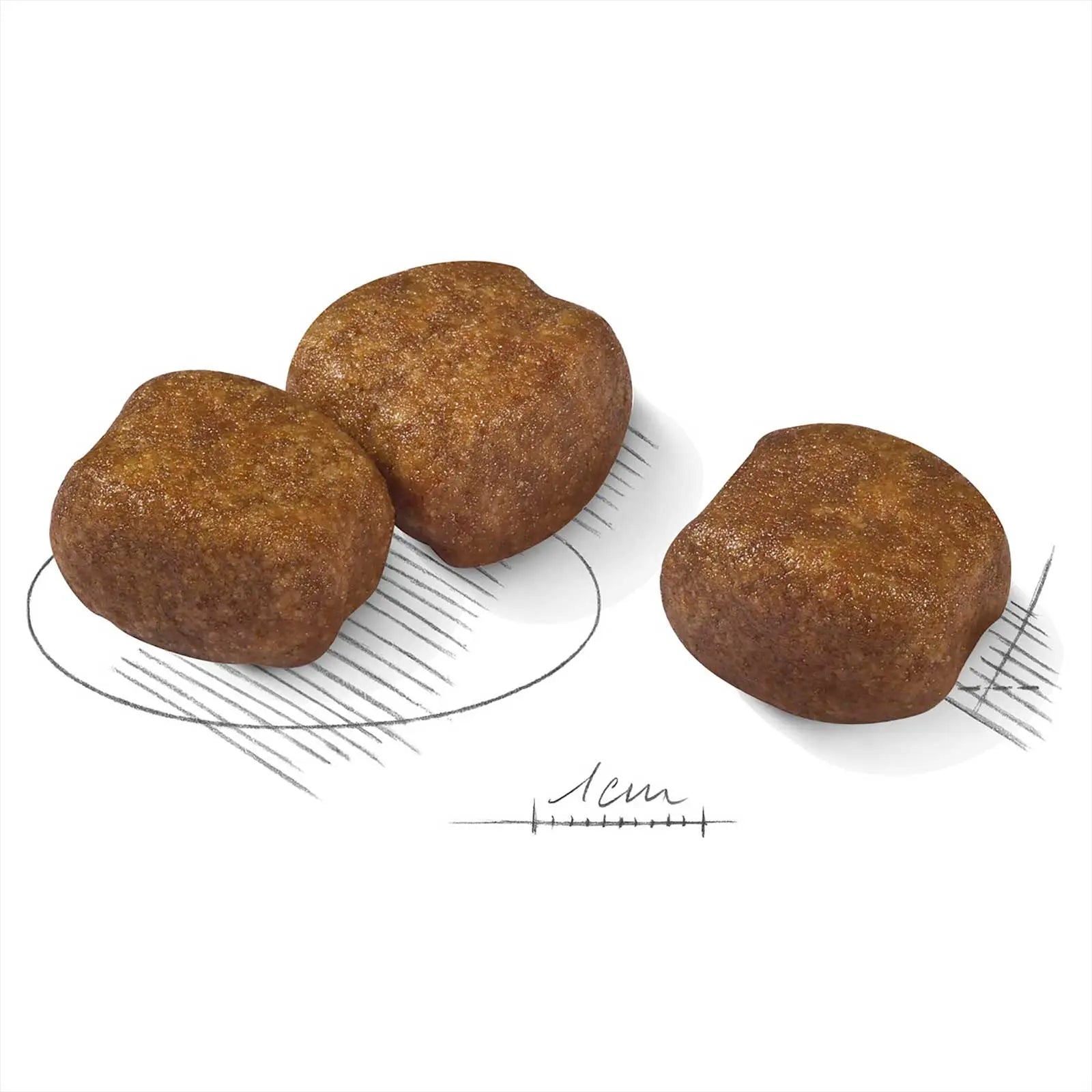 Royal Canin Dog Food Dental Care Maxi - Kellyville Pets