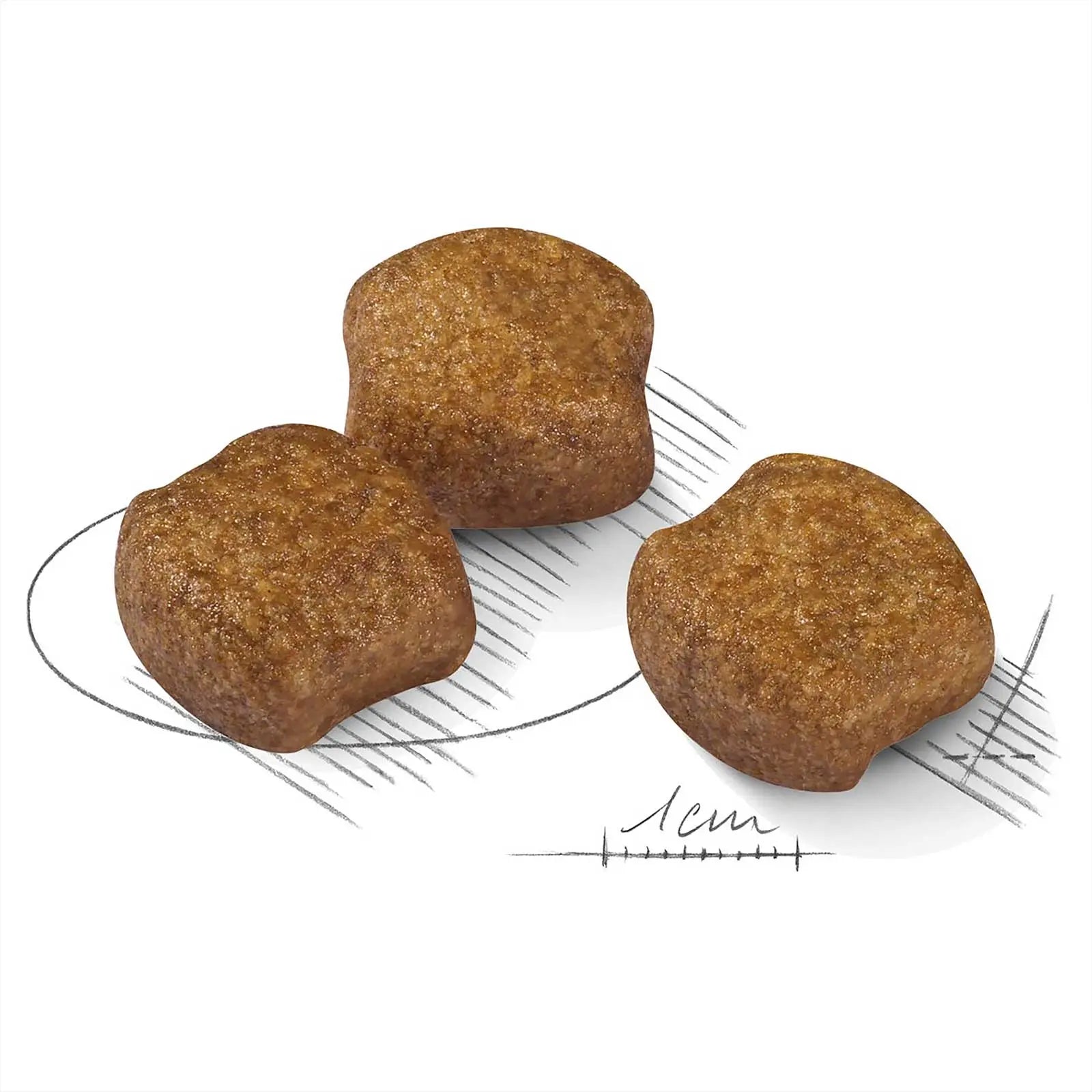 Royal Canin Dog Food Dental Care Medium - Kellyville Pets