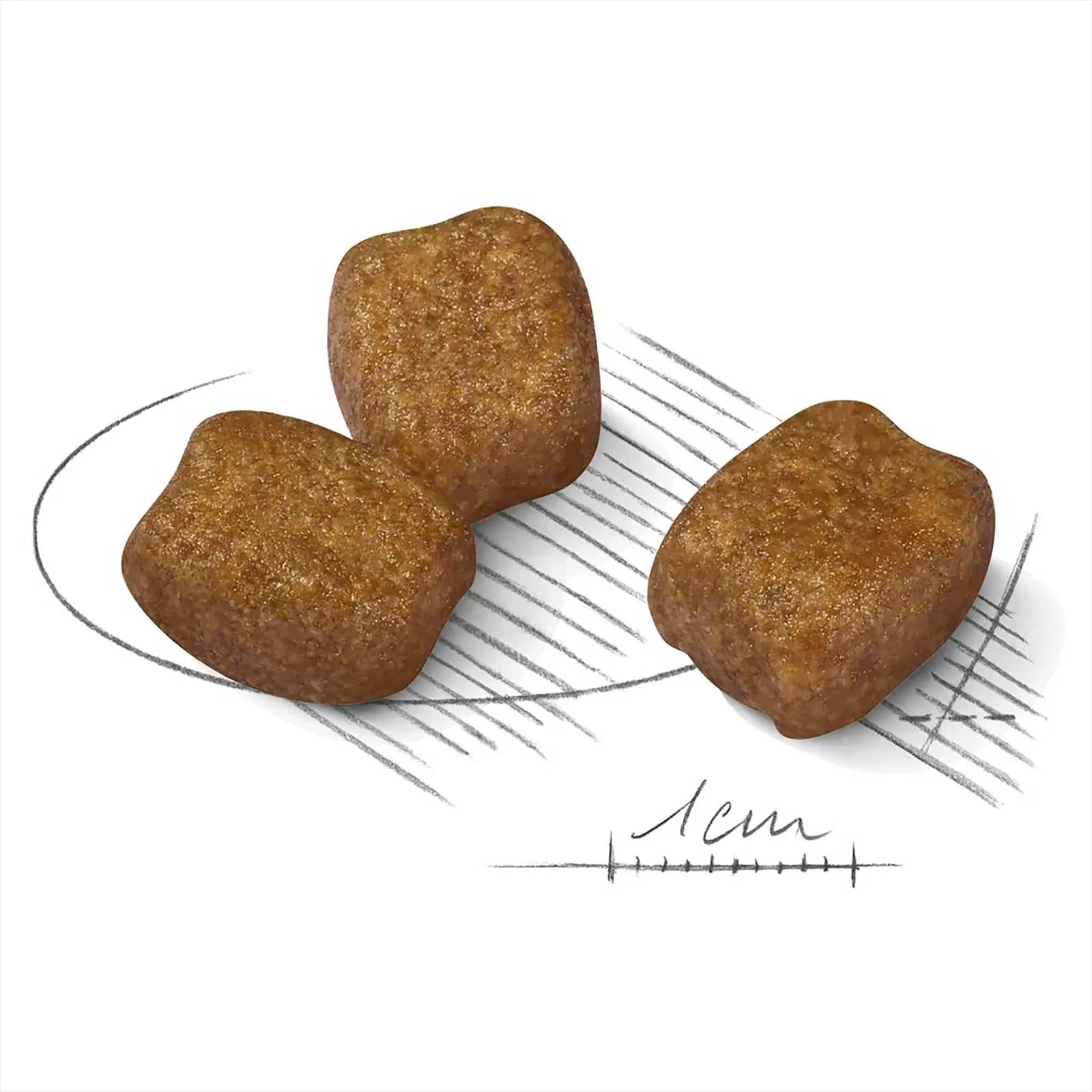 Royal Canin Dog Food Dental Care Mini - Kellyville Pets