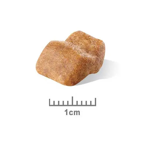 Royal Canin Dog Food Puppy Bulldog - Kellyville Pets