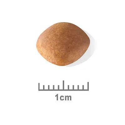 Royal Canin Dog Food Puppy Cavalier King Charles - Kellyville Pets