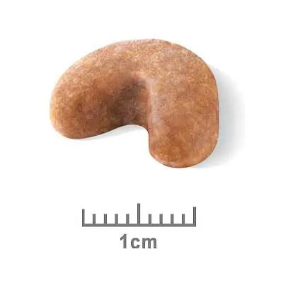 Royal Canin Dog Food Puppy French Bulldog - Kellyville Pets