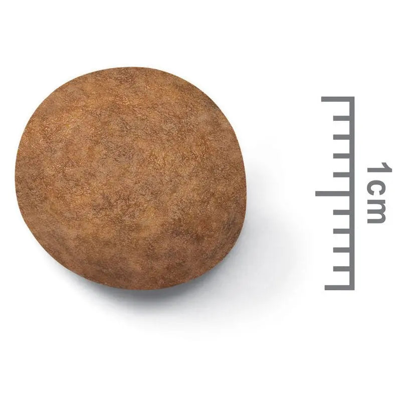 Royal Canin Dog Food Puppy Maxi - Kellyville Pets