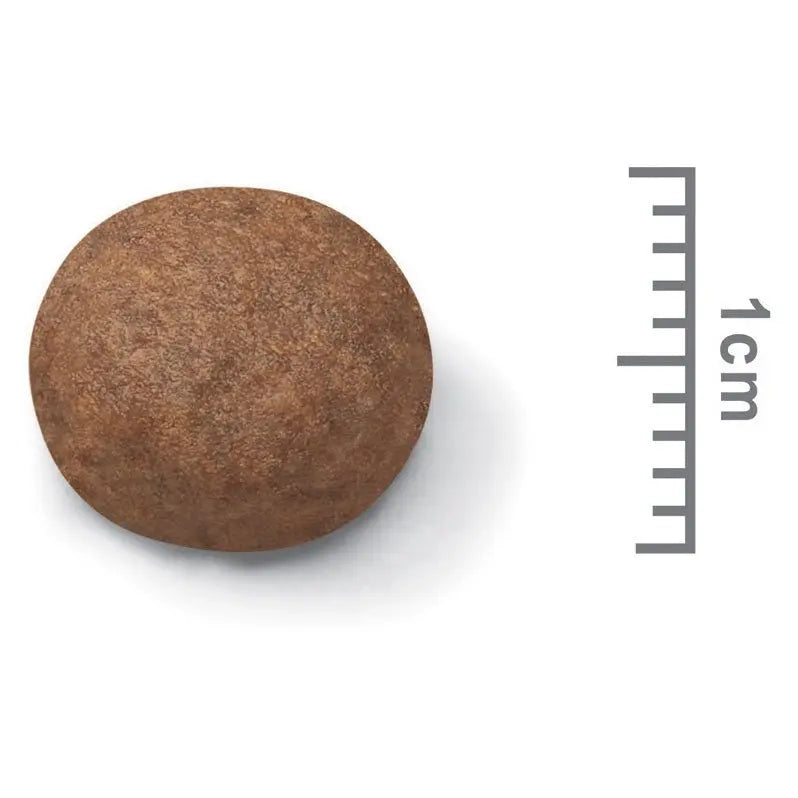 Royal Canin Dog Food Puppy Medium - Kellyville Pets