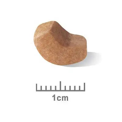 Royal Canin Dog Food Puppy Shih Tzu - Kellyville Pets