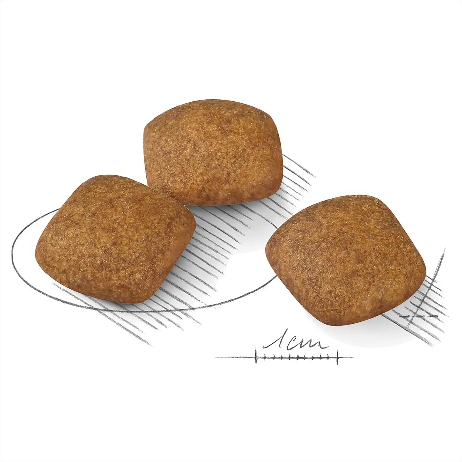 Royal Canin Dog Food Relax Care Medium - Kellyville Pets