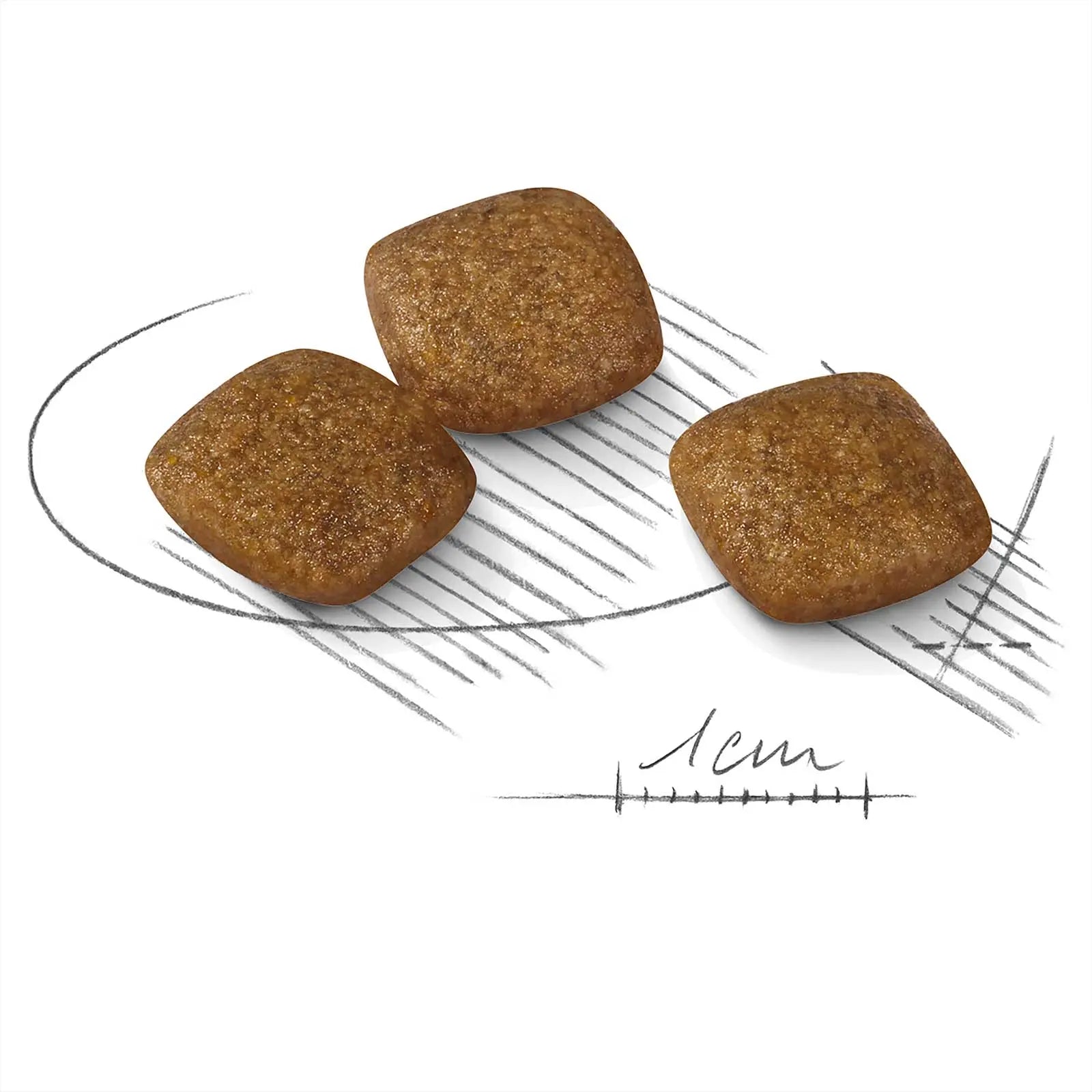 Royal Canin Dog Food Relax Care Mini - Kellyville Pets